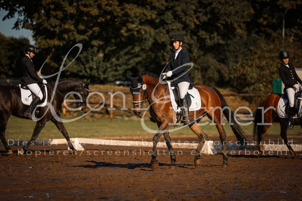 13.SoDrA100229 | Leoni Ertmer Photography - Realisiert mit Pictrs.com