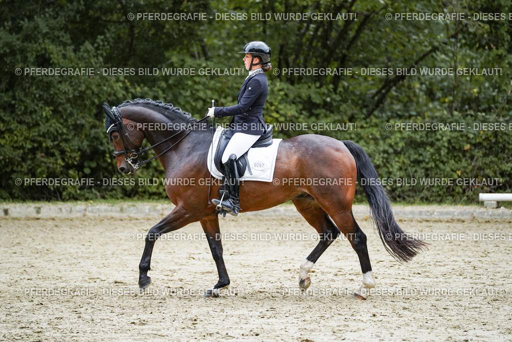 DSC00217 | Pferdegrafie