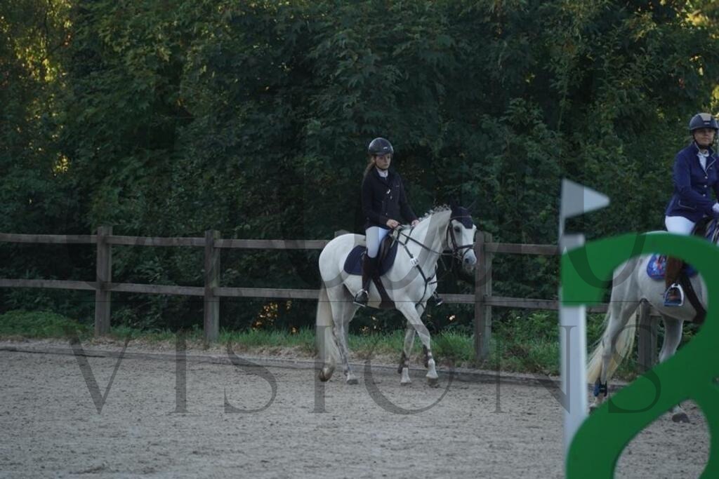 tgbhsonntag (13) | d.tail Visions - Shop - Realisiert mit Pictrs.com