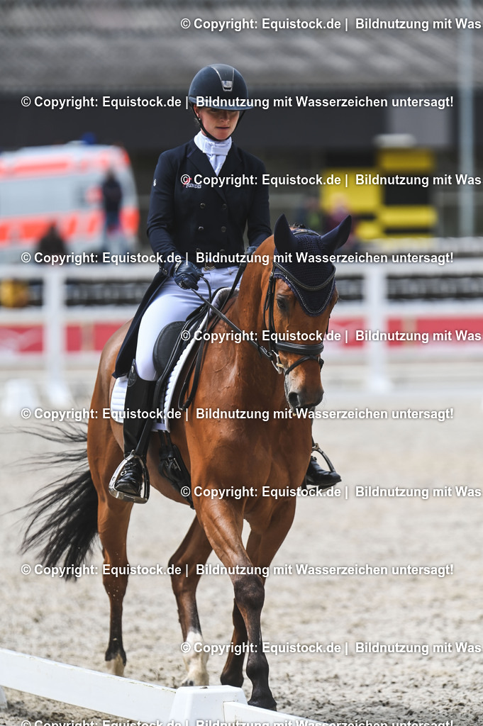 20230512_CCI4_Dressur_0249 | equistock