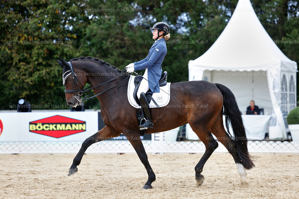 6-200-AMATUER-DRESSUR S_  -StoibPH-3533 | working equitationturnier fotograf videograf stoibphotography marixx film working equitation deutschland reitsport turnierfotografie eventfotografie equestrian events