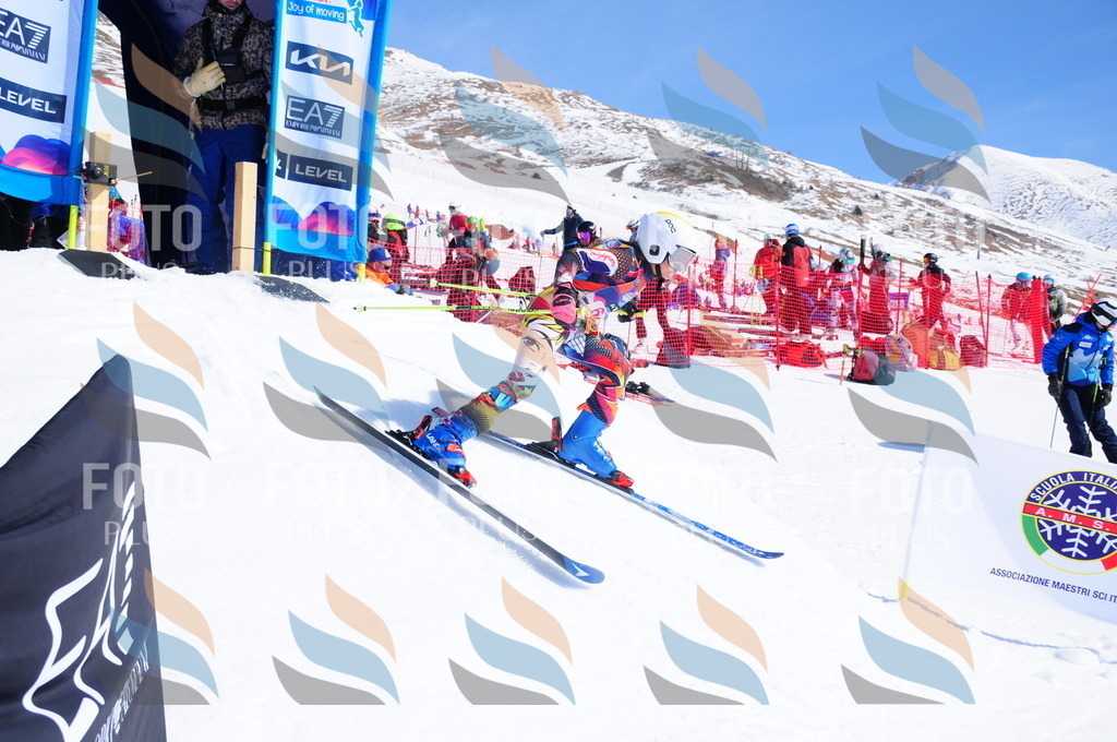 DSC_4385 | holidayphoto