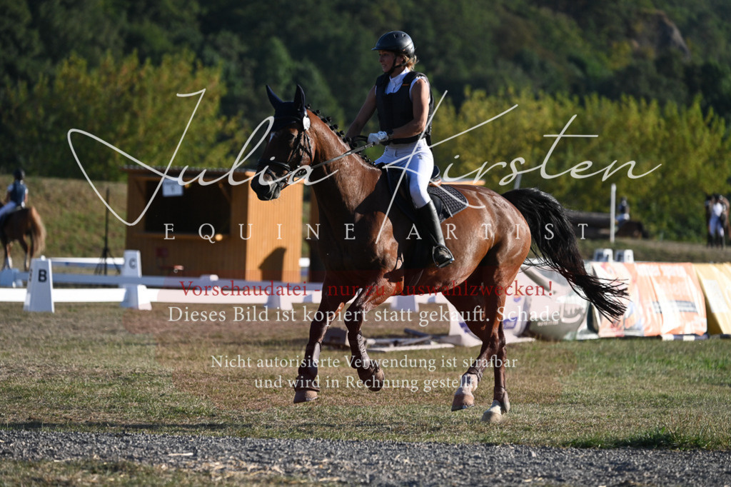 DSC_9114 | Pferde- und Turnierfotografie in Westsachsen. Pferdeportraits, Auftragszeichnungen und intuitive Kunst.