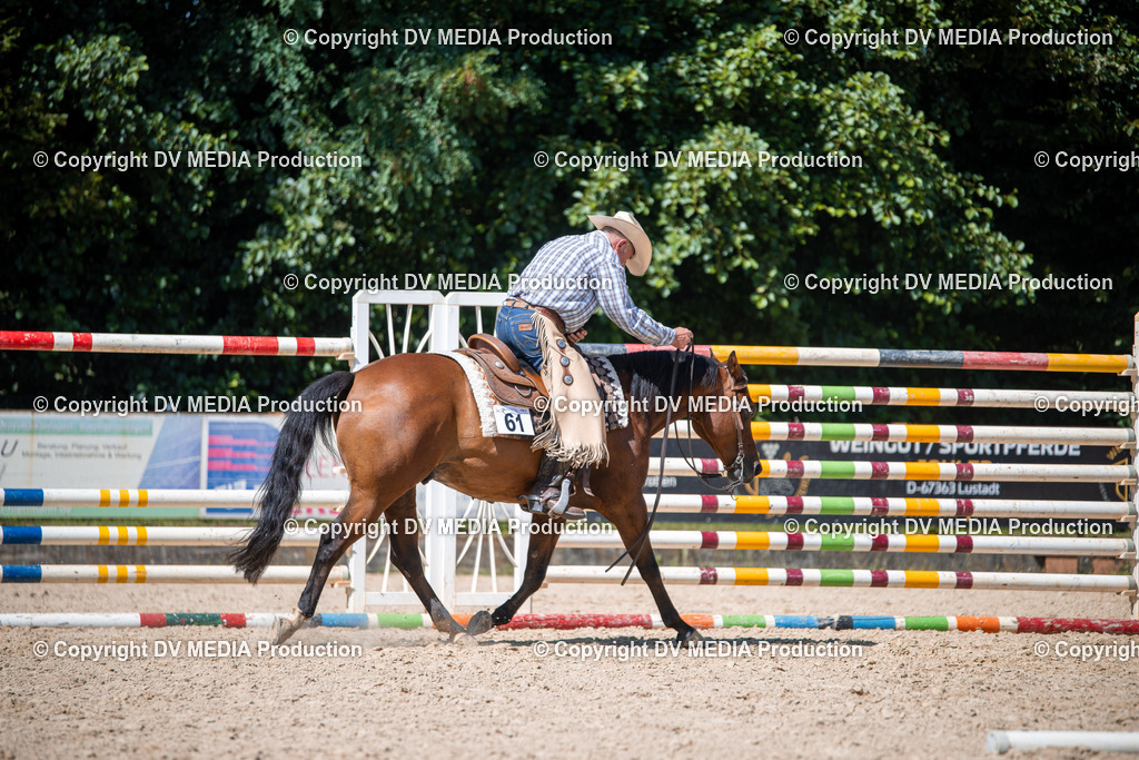 ZS1_1571 | dv-media-shop - Realisiert mit Pictrs.com