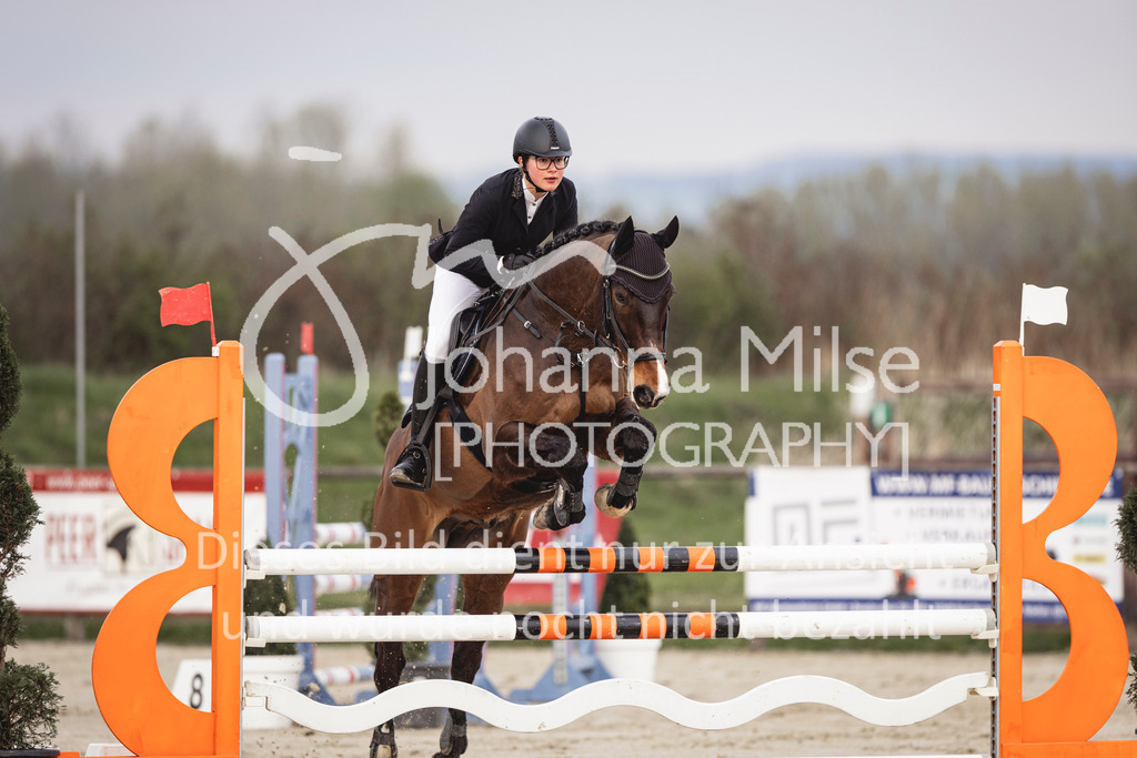 240327_Fruehlingsfest_Stil-L-1-320 | Deine schönsten Turniermomente als professionelle Fotos! Entdecke hochwertige Pferdesport-Fotografie im Online-Shop. Jetzt Fotos finden & bestellen!