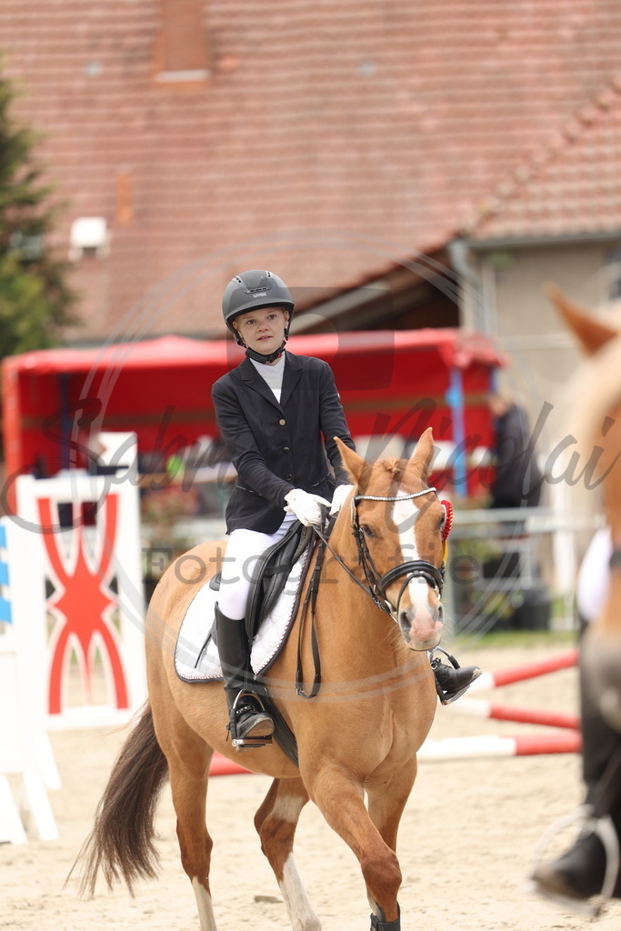 994A8561 | sabrinanicolaifotografie - Realisiert mit Pictrs.com