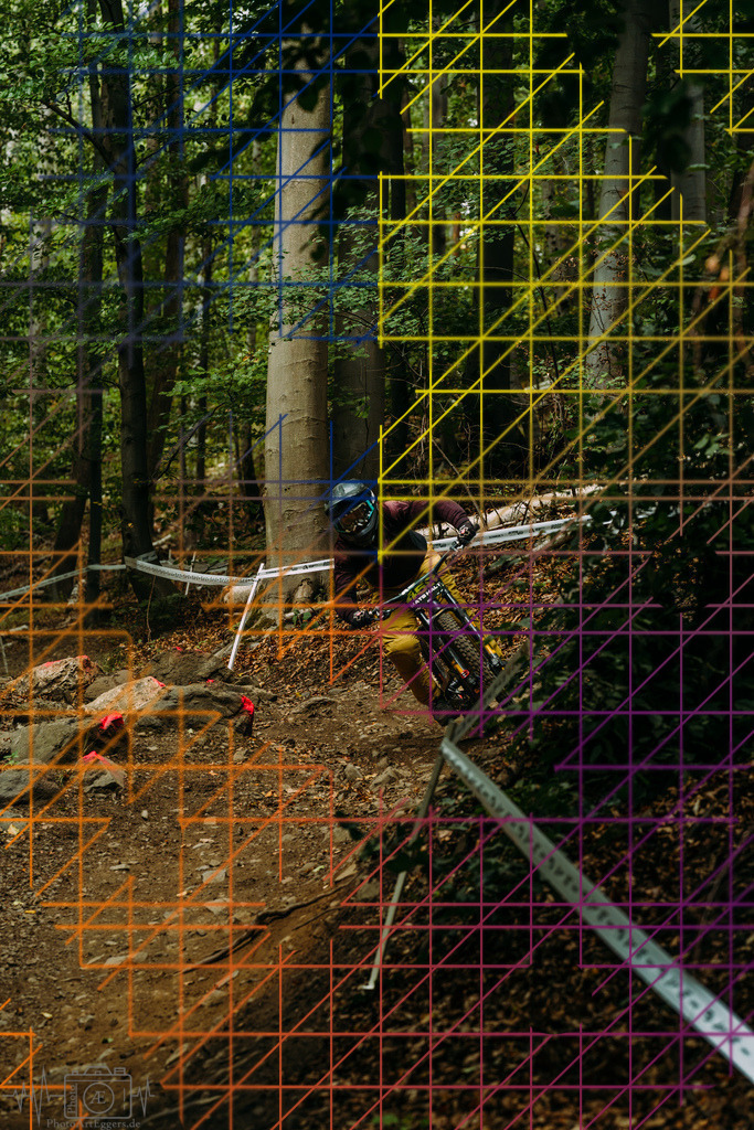 PAE-1418 | Einzigartige Fotokunst für dein Zuhause: Entdecke hochwertige Wandbilder, edle Prints und emotionale Motive von Wildlife, Natur und Landschaften - Realisiert mit Pictrs.com