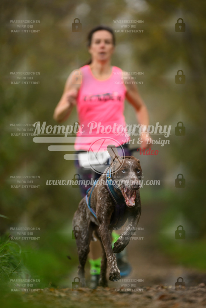 MompixPhotography_20TSB_E6_Run-29 | PayLife
