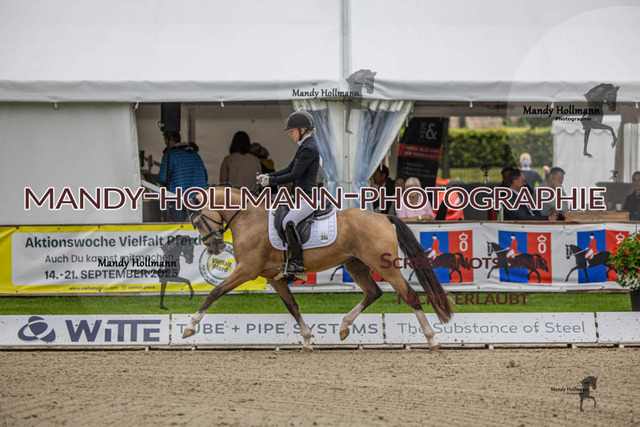 27.07.25 OLT D1 48 DR (255) | mandyhollmannphotographie
