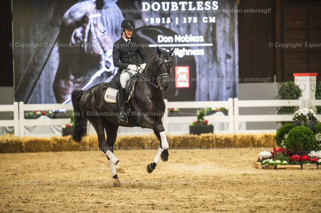 20240302_Hengstvorstellung_Marbach_TOMsPiC_1548-2 | equistock