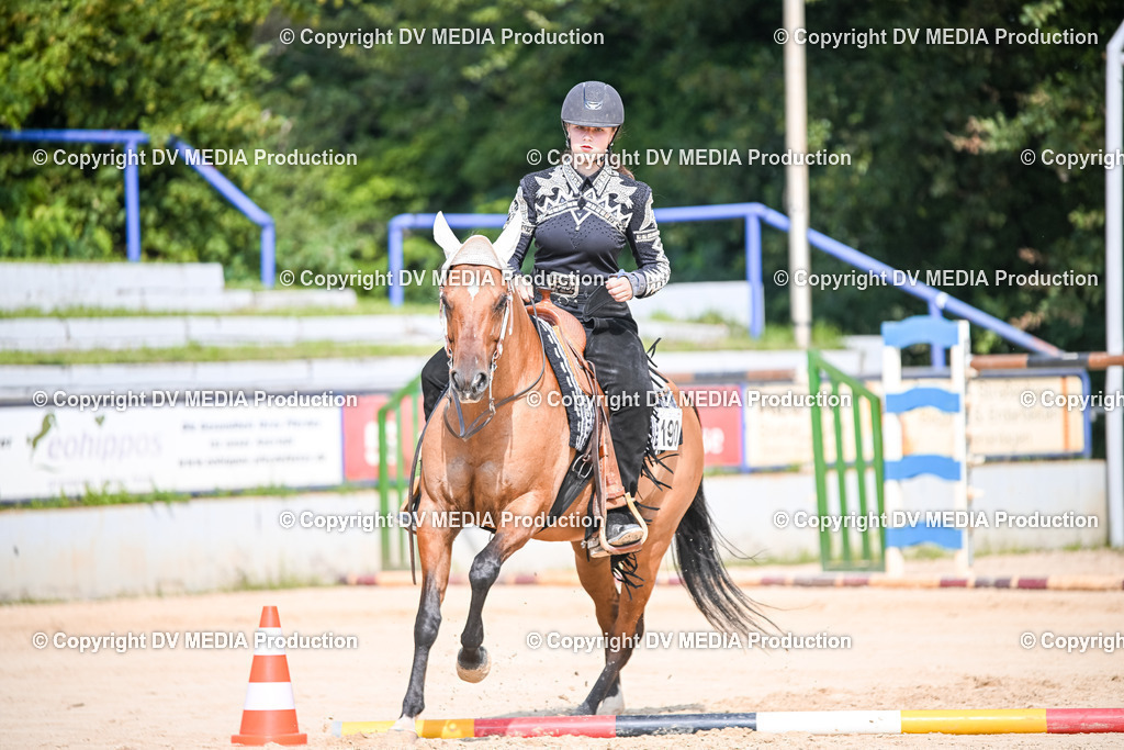 ZS2_3556 | dv-media-shop - Realisiert mit Pictrs.com