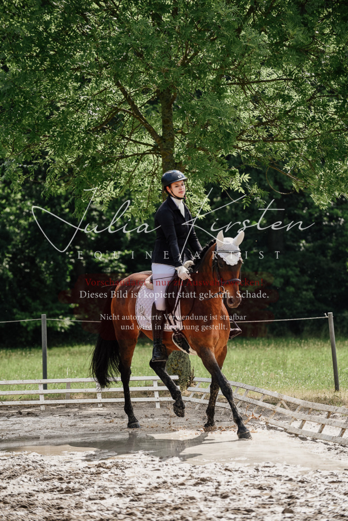 DSC_9815 | Pferde- und Turnierfotografie in Westsachsen. Pferdeportraits, Auftragszeichnungen und intuitive Kunst.