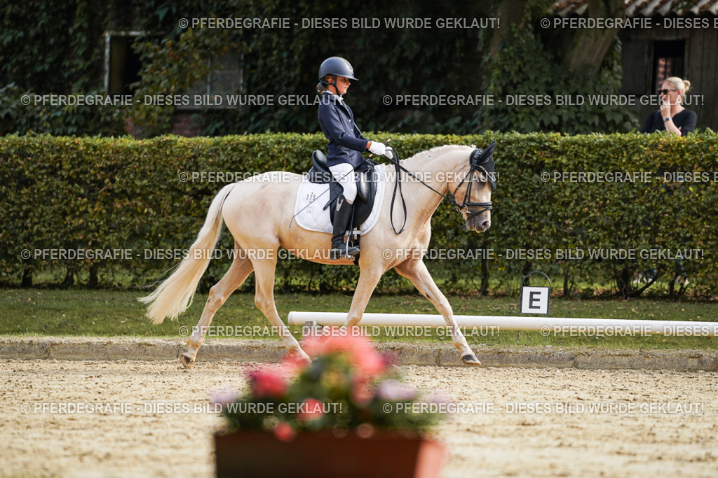 DSC04798 | Pferdegrafie