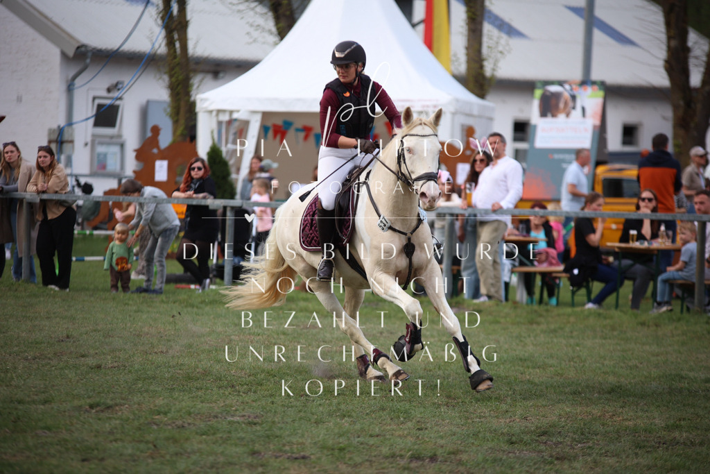 IMGT9439 | pl-fotografie