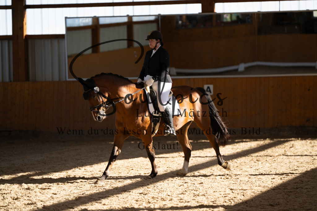 A7V01870 | Pferdefotograf