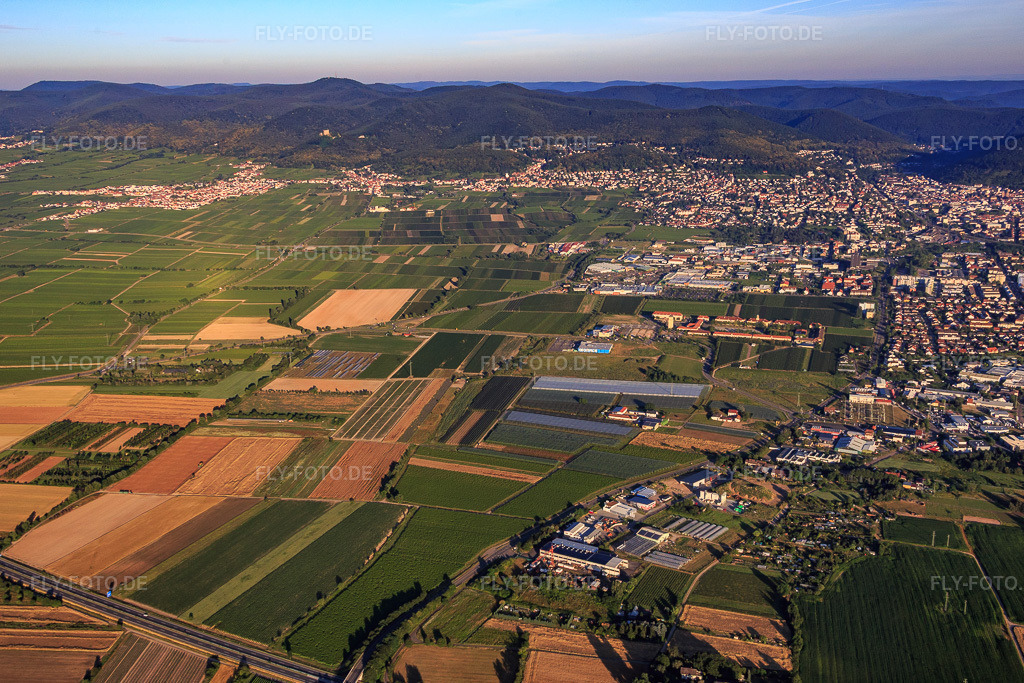Luftbild: Weinberge südich der Stadt in Neustadt an der Weinstraße im Bundesland Rheinland-Pfalz in Deutschland. Foto: IMG_091643.jpg vom 10.07.2016 durch Werner Riehm/FLY-FOTO.de