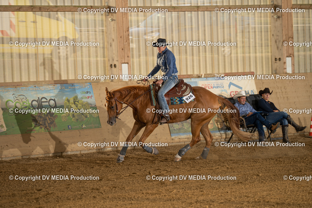 LAU02020 | dv-media-shop - Realisiert mit Pictrs.com