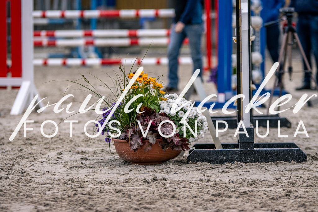 IMG_6205 | Erleben Sie dynamische Sport- und emotionale Tierfotografie in Süddeutschland mit Fotos von Paula. Spezialisiert auf Pferde- und Hundefotografie sowie Sportevents. Kontaktieren Sie mich für einzigartige und ausdrucksstarke Bilder Ihrer besonderen Momente.