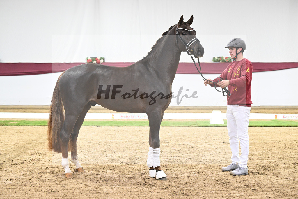 Kat-Nr. 126 Va Bene x Fuerst Jazz_Johannes Gaab_47254162 | hf-fotografie - Realisiert mit Pictrs.com