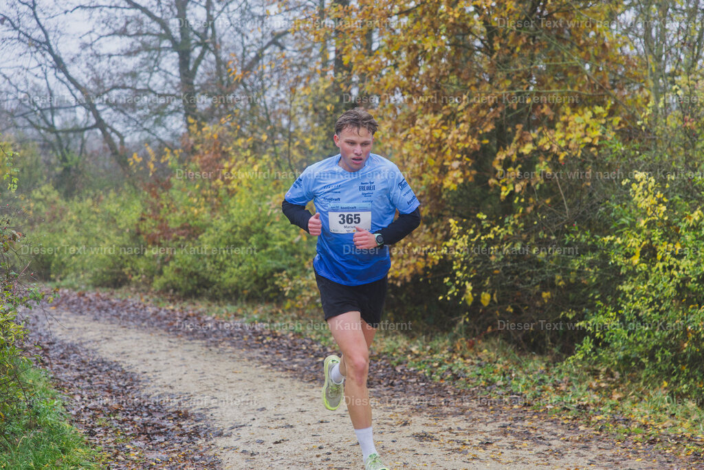 cineathletes-huegelland-2025-11-09-10-14-28 | Sportfotografie rund um Obstacle Course Racing und Trail Run - Realisiert mit Pictrs.com