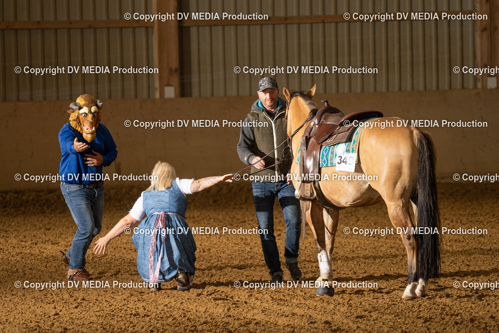 LAU01141 | dv-media-shop - Realisiert mit Pictrs.com