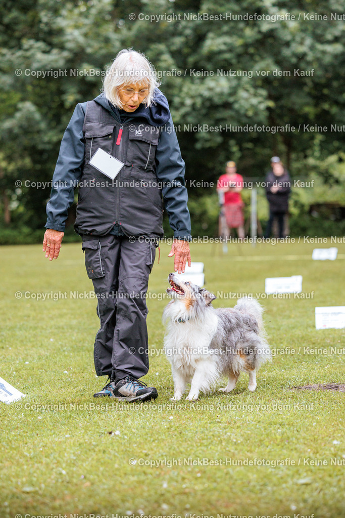 RO-Blumenthal-2026-Nickbest-Hundefotografie-0788 | Dein Hund! Dein Moment! Deine Erinnerungen! Hundefotografie in Bremen Blumenthal. Ich fange die besonderen Momente deines Vierbeiners ein – ob Indoor mit Blitzanlage oder in der freien Natur. Sicher dir dein Moment und dein Termin für eure Erinnerungen.