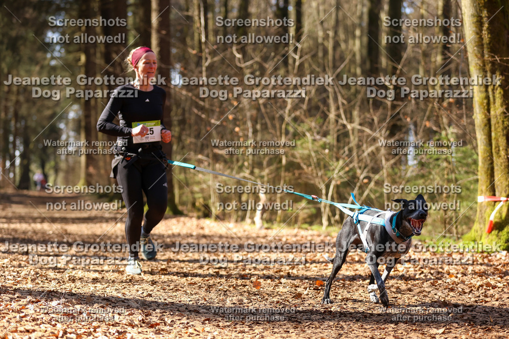 Dog Paparazzi - VCC26-1166 | Dog Paparazzi Jeanette Grottendiek Fotografie & Videografie - Realisiert mit Pictrs.com