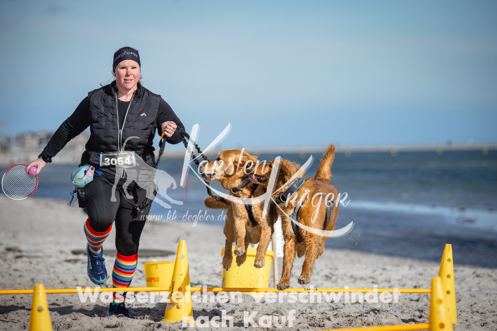 1343_ZZ92931 | kk-dogfotos
