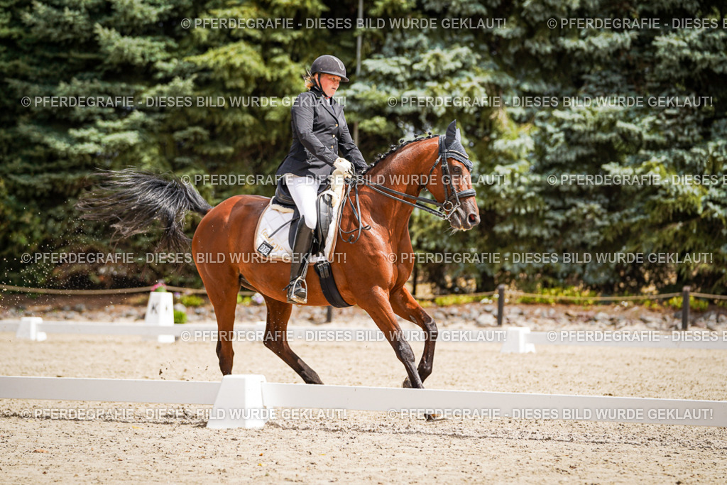 DSC03366 | Pferdegrafie