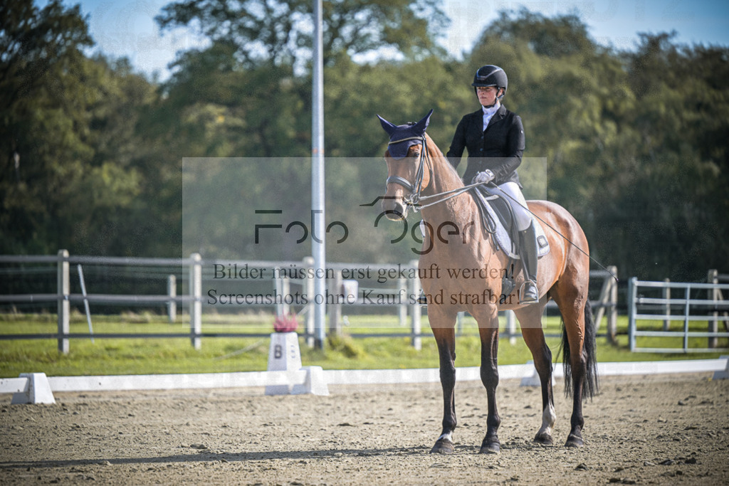 DOS_1351 | Entdecke hochwertige Reitturnierfotos von Foto Oger. Professionell, emotional und authentisch – jetzt Lieblingsmomente im Shop bestellen.Deutschlandweite Turnierfotografie. - Realisiert mit Pictrs.com