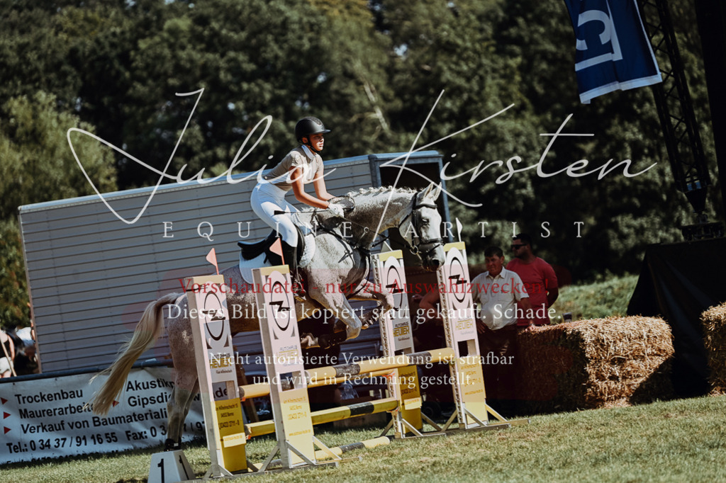 DSC_6864 | Pferde- und Turnierfotografie in Westsachsen. Pferdeportraits, Auftragszeichnungen und intuitive Kunst.