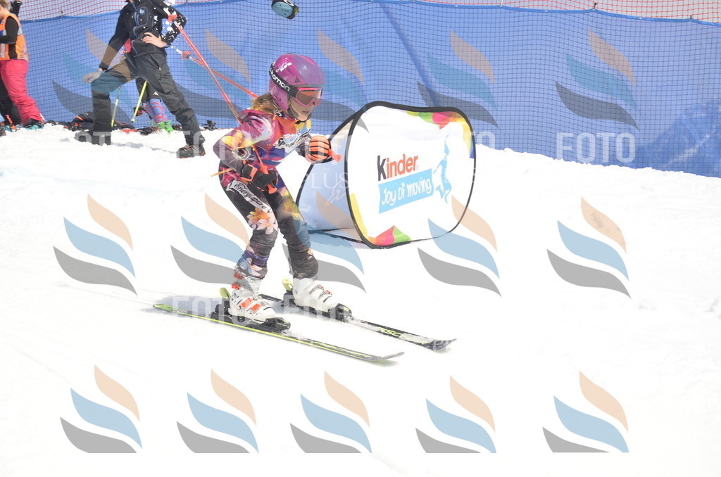 _ELE9157 | holidayphoto