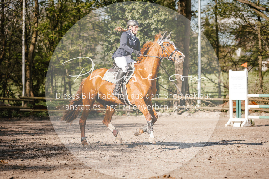 3I6A3728 | Stimmungsvolle Portraits und Reitsportfotografie im Ruhrgebiet und im Münsterland.

Pferdefotografie, Hundefotografie, Tierfotografie, Reportagen, Portraits von Tier und Mensch, Turnierfotografie in Bochum, Recklinghausen, Marl, Haltern am See, Dülmen.. - Realisiert mit Pictrs.com