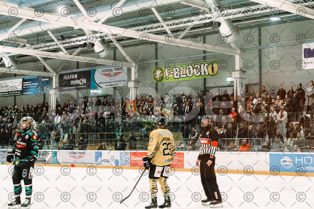 Alligators_vs_Bayreuth_10_2025-58 | Höchstadt Alligators Fotogalerie: Eishockey-Action aus Franken. Professionelle Spielfotos, Portraits & Stadionbilder zum Download. Jetzt entdecken! - Realisiert mit Pictrs.com