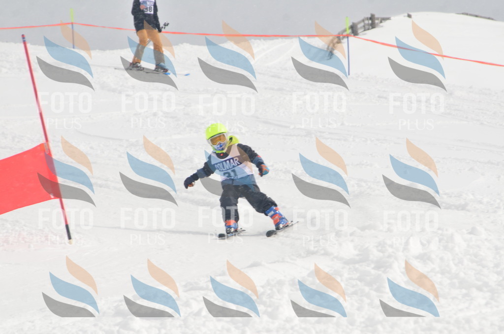 A5246 | holidayphoto