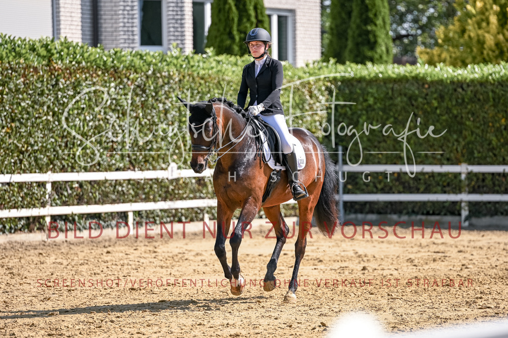 Schugtsche-Aluta25-52.Dressurprf.M2Kand-415 | Schugtsche Fotografie - Realisiert mit Pictrs.com