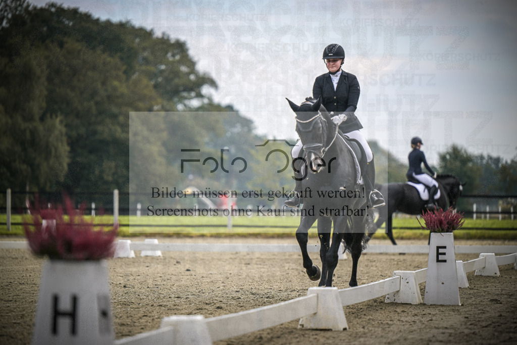 DOS_B565 | Entdecke hochwertige Reitturnierfotos von Foto Oger. Professionell, emotional und authentisch – jetzt Lieblingsmomente im Shop bestellen.Deutschlandweite Turnierfotografie. - Realisiert mit Pictrs.com