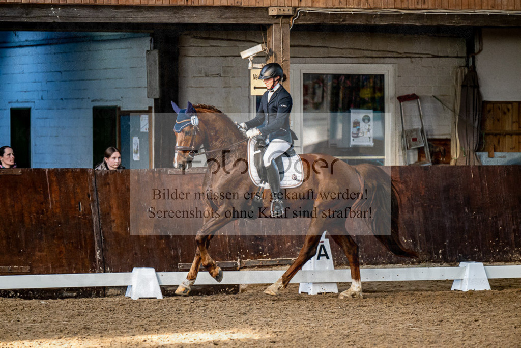 20240308-DOS_4740 | Entdecke hochwertige Reitturnierfotos von Foto Oger. Professionell, emotional und authentisch – jetzt Lieblingsmomente im Shop bestellen.Deutschlandweite Turnierfotografie. - Realisiert mit Pictrs.com
