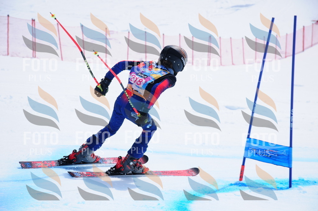 DSC_5944 | holidayphoto