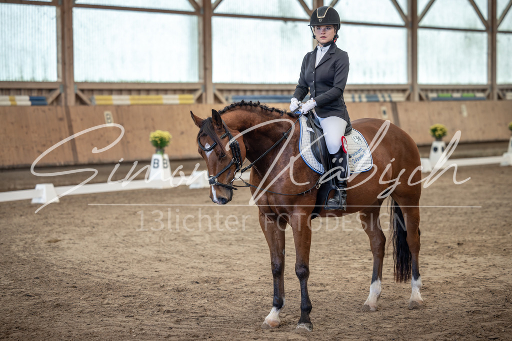 20251011-_3LI8101 | Tierfotografie Pferde, Hunde, Katzen, Haustiere.
Turnierfotografie Reitturniere, Reiten, Springreiten, Dressur in Hanau, dem Main-Kinzig-Kreis und dem Rhein-Main- Gebiet um Frankfurt
