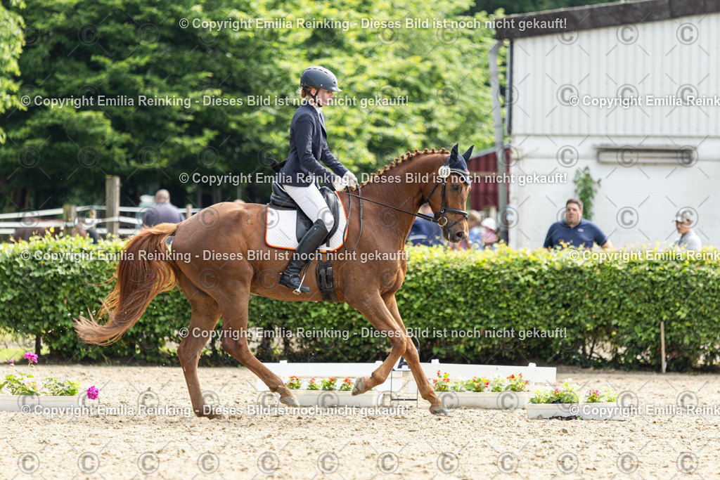 CL5A5649 | Emilia Reinking Fotografie - Realisiert mit Pictrs.com