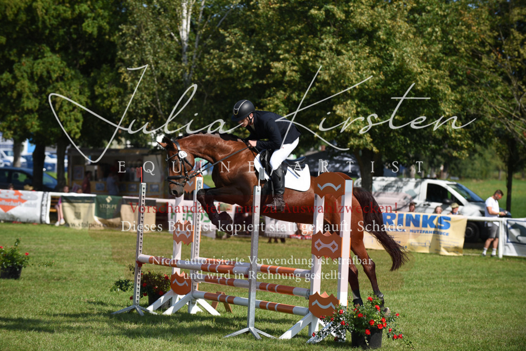 DSC_9041 | Pferde- und Turnierfotografie in Westsachsen. Pferdeportraits, Auftragszeichnungen und intuitive Kunst.