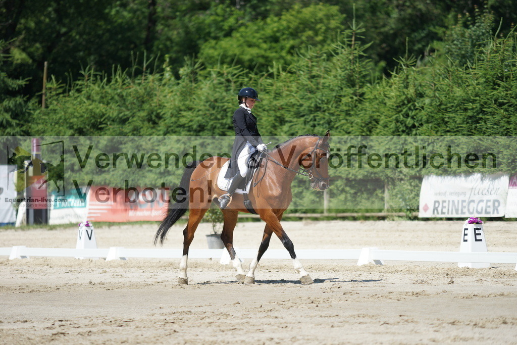 DSC03212 | equestrian-live-com