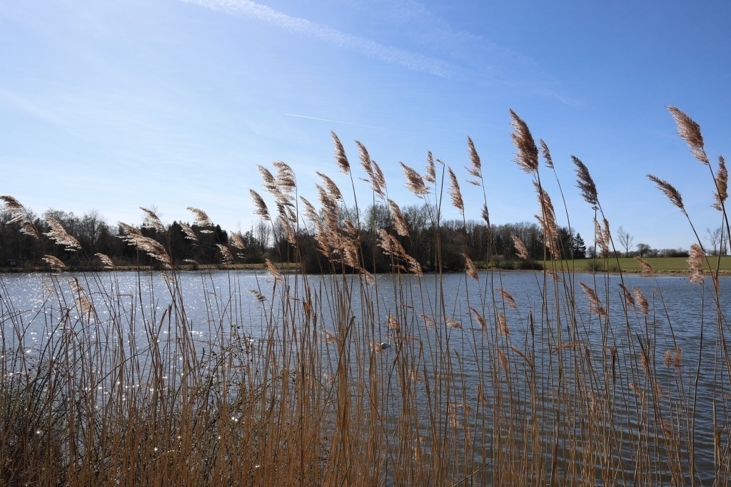 Seenlandschaft Land der 1.000 Teiche | Seenlandschaft Land der 1.000 Teiche - Realisiert mit Pictrs.com