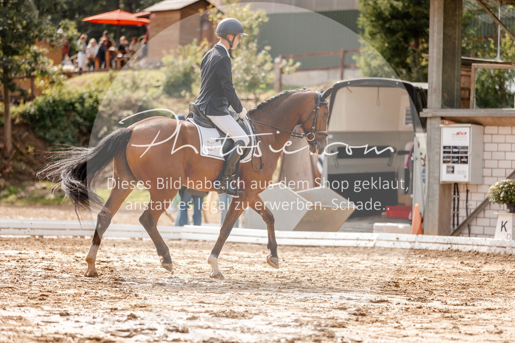 3I6A7213 | Stimmungsvolle Portraits und Reitsportfotografie im Ruhrgebiet und im Münsterland.

Pferdefotografie, Hundefotografie, Tierfotografie, Reportagen, Portraits von Tier und Mensch, Turnierfotografie in Bochum, Recklinghausen, Marl, Haltern am See, Dülmen.. - Realisiert mit Pictrs.com