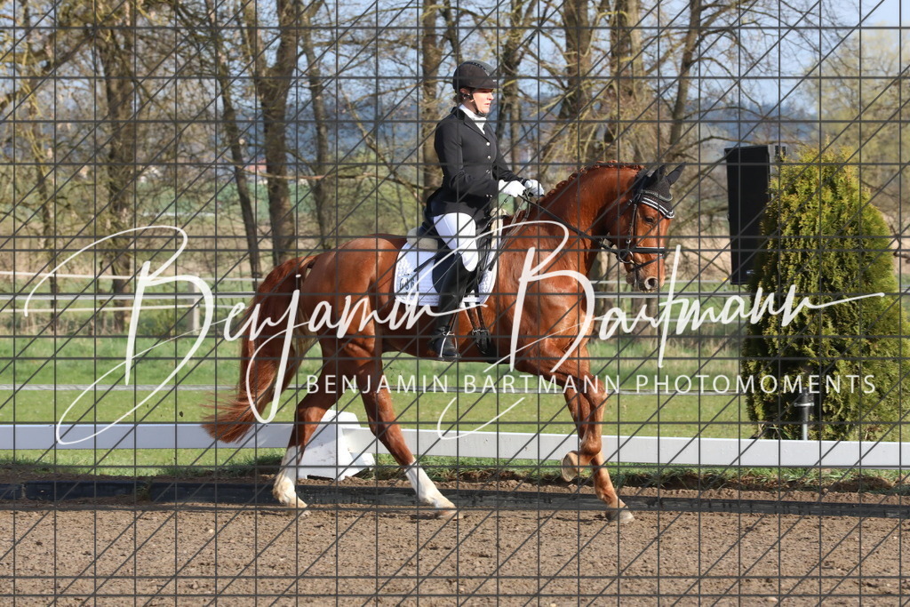 AZ2A6196 | Benjamin Bartmann Photomoments