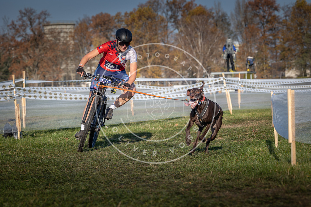 CaniXpix_0L8A4498 | Hundefotografie, Tierfotograf, Pfotenfotografie, Fotoshooting Hund, Hunde Portrait, Hundesport, Hundeportraits, Heideshooting, Hunde, Sportfotograf, Hundefotograf, Turnierhundsport, THS,  - Realisiert mit Pictrs.com