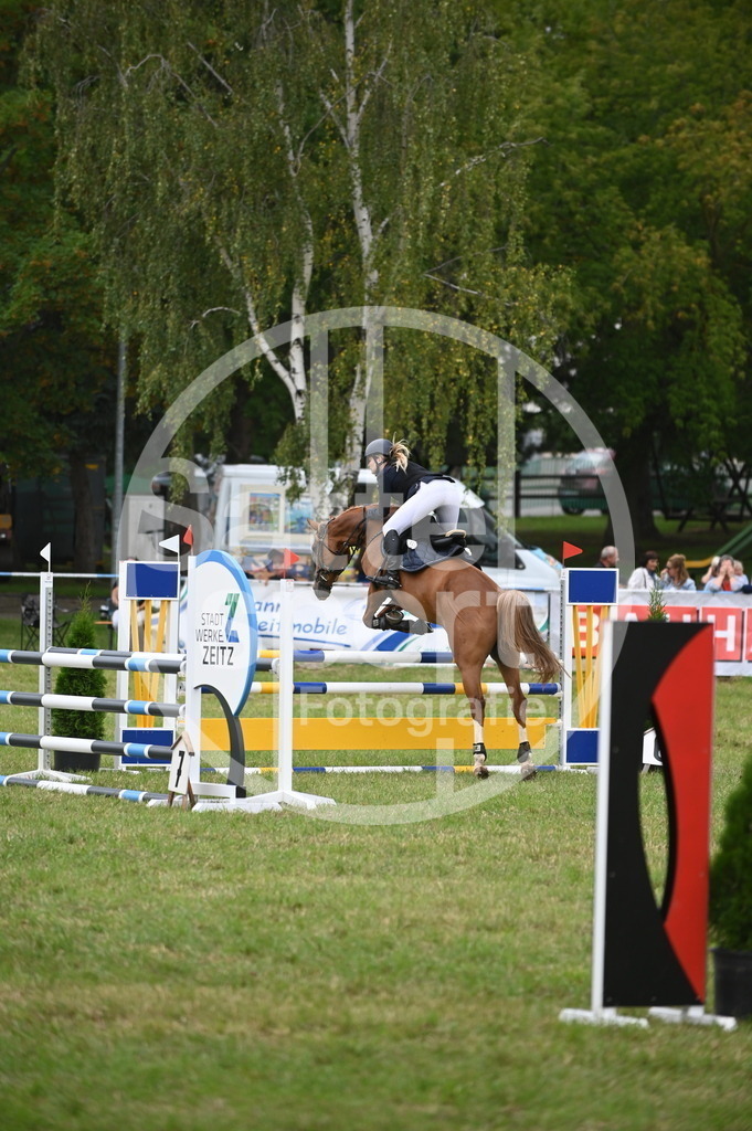 DSC_2306 | sattelsport - Realisiert mit Pictrs.com