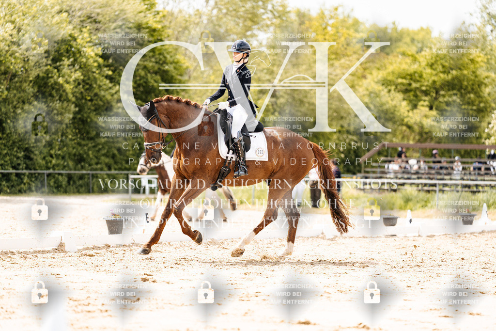 CK902108 | Turnierfotografie Pferdefotografie Trier Rheinland-Pfalz Pferdesport Reitsport Tierfotografie Sportfotografie Pferdevideo Pferdevideografie Equestrianvideography equestrianphotography  - Realisiert mit Pictrs.com