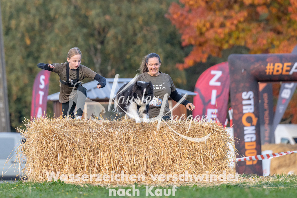 0852_ZZ91619 | kk-dogfotos